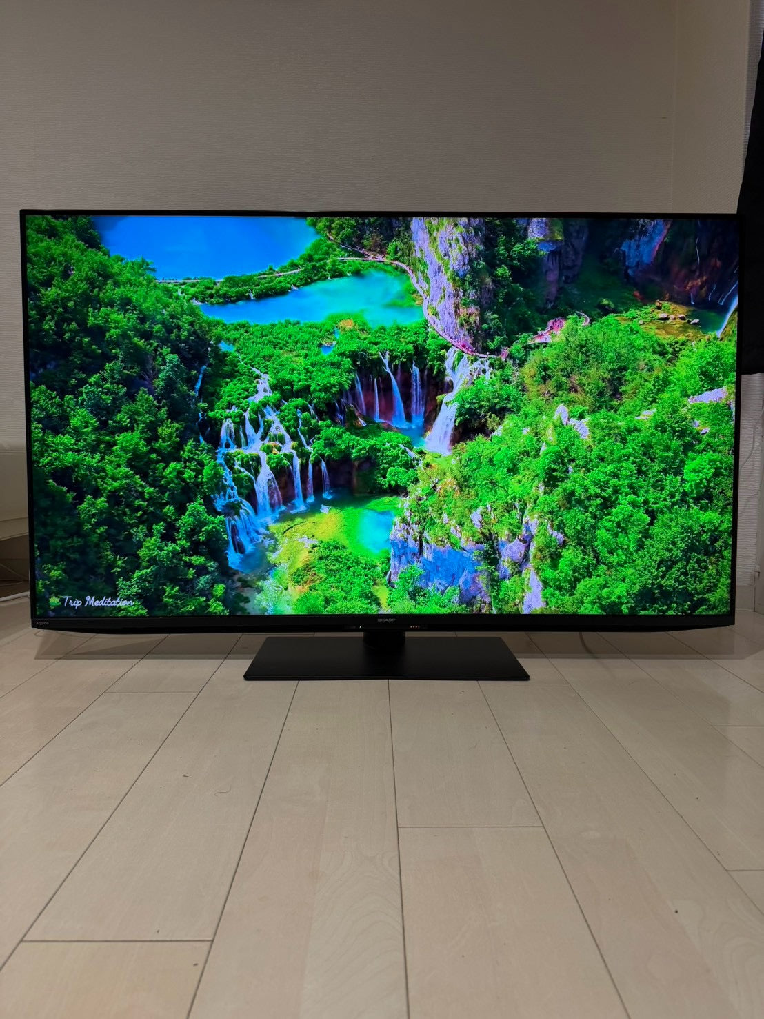 【1年保証】SHARP 4T-C55FN1 2024年製 55V 4K