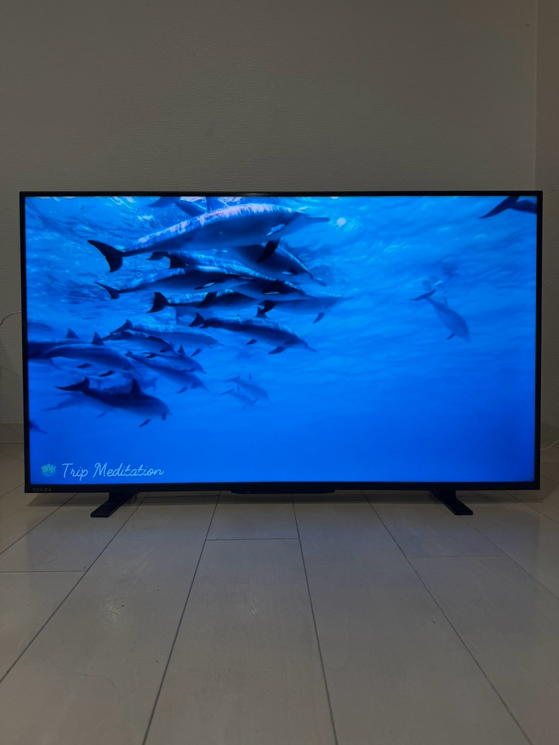 【12ヶ月保証】 東芝 REGZA 43M550M 2025年製 43インチ