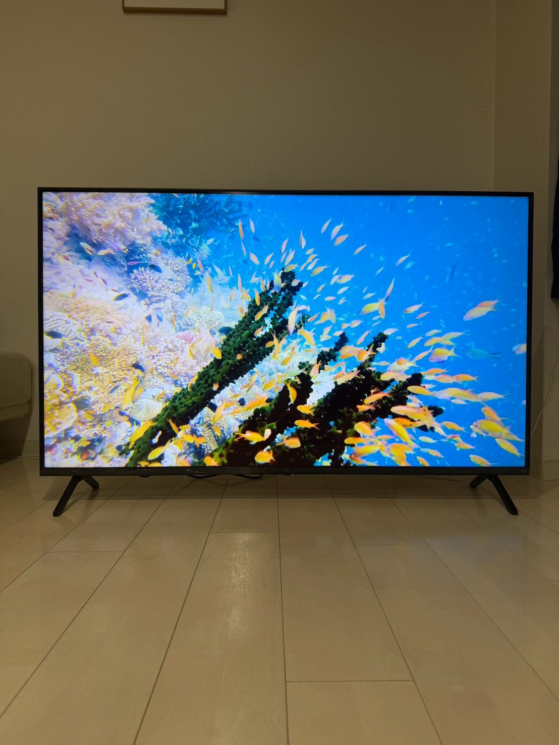 【12ヶ月保証】 ヤマダ電機　4K液晶テレビ JL-55YX10 2025年製 55インチ