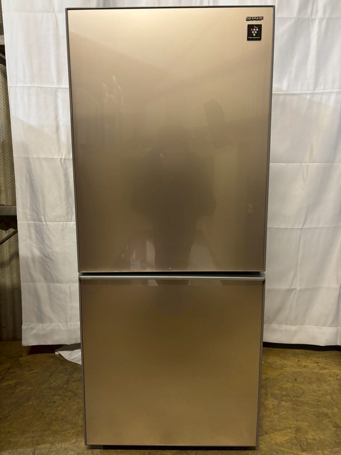 【6ヶ月保証】【美品】SHARP 2ドア冷蔵庫 SJ-GD14C-C 2017年製137L 両開き