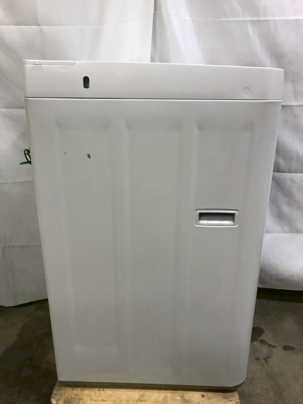 【半年保証】SHARP ES-GE5J-W 2025年製 洗濯5.5kg
